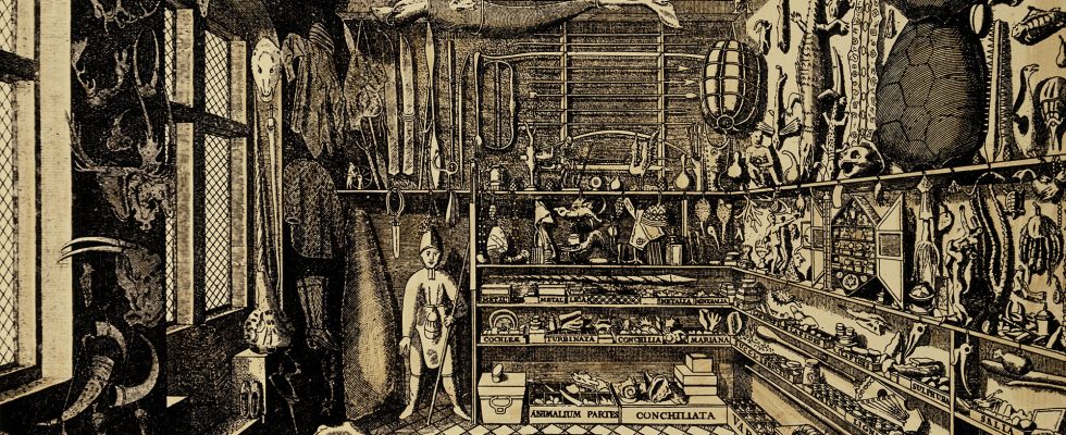 Professor Beneš’ Cabinet of Mysteries