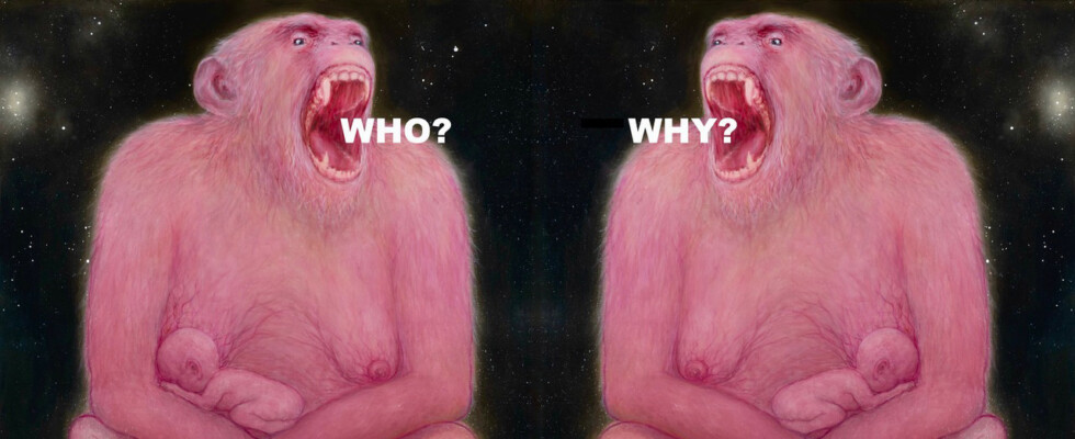 WHO? WHY?